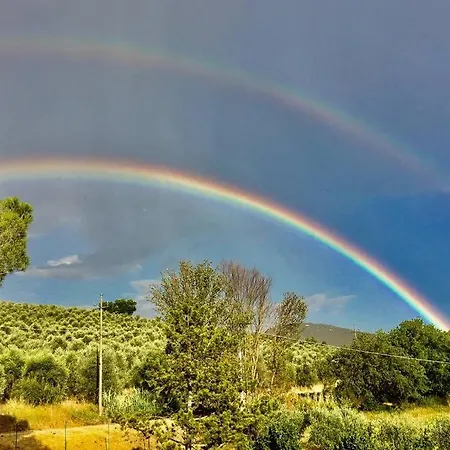 Podere Collesanto *